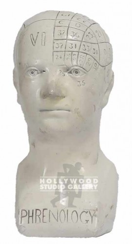 11x6``Phrenology Head Sculpture