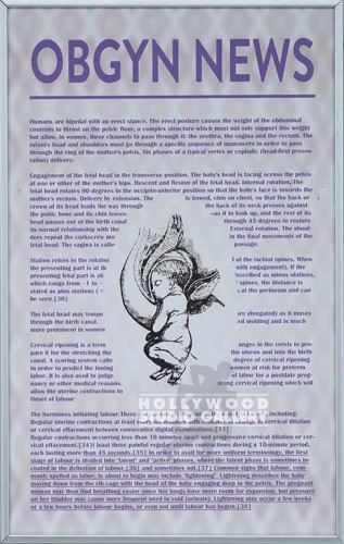 16X10 OBGYN NEWS POSTER SLVR METAL