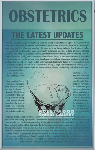 16X10 OBSTETRICS POSTER SLVR METAL