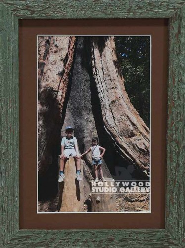 HGW 8x6 Charles & Sis Tree Trunk