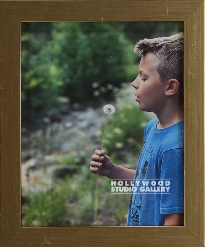 12x10 Wright Boy Dandelion Gold Frm