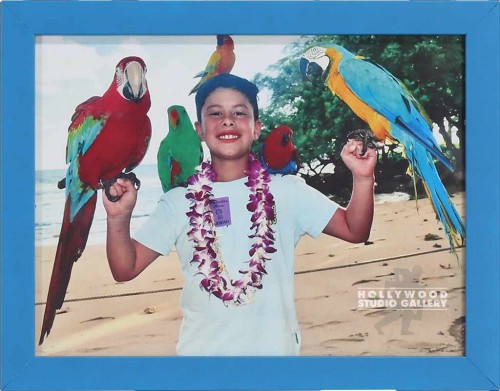 9x12 Charles 5 Parrots Color Blue