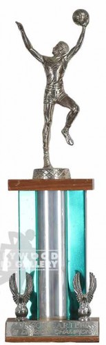 13` BASEKETBALL TROPHY