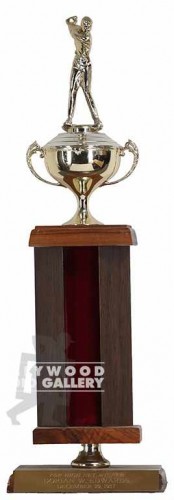 18` MANS GOLF TROPHY