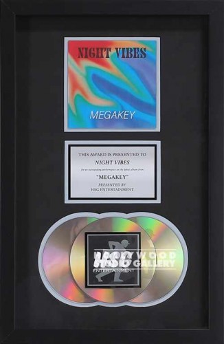 19X12`NIGHT VIBES CD PLATINUM
