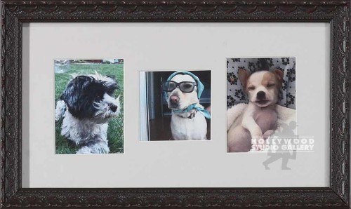7x11 (3) Opening Dog Pics Blck Frm