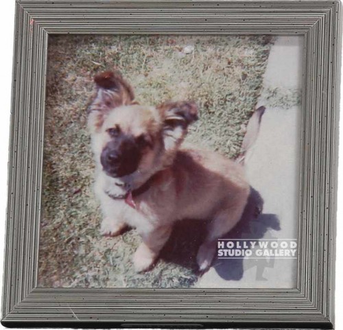 6x6 Desktop Puppy Photo Slvr