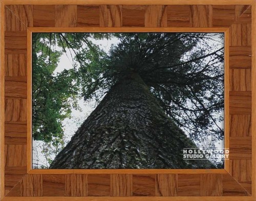 9x7 TABLETOP SMITTY TREE