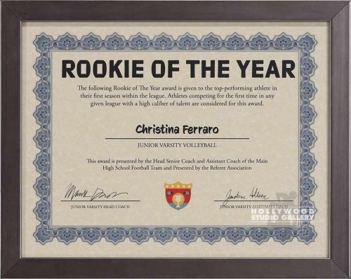 10x12 Rookie Of The Year Cert Slvr
