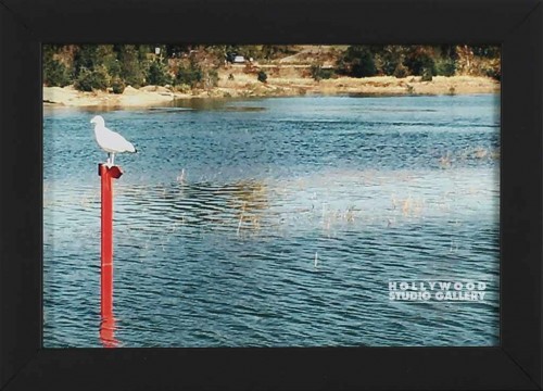 7x9 Tabletop Smitty Bird Blck Frm