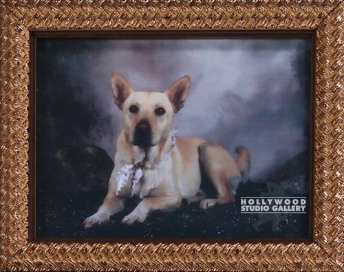 7X6 TABLETOP DOG CHARLIE GOLD FRM