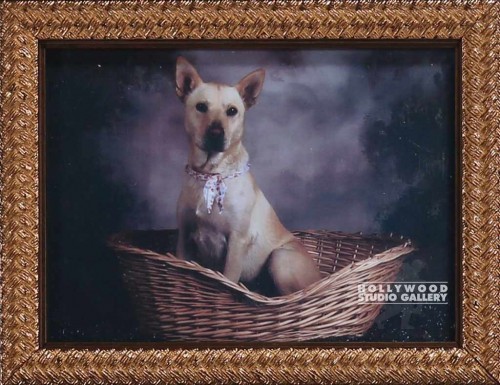 8X6 DERSKTOP CHARLIE DOG GOLD FRM