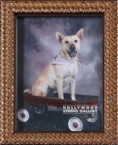 7X6 TABLETOP CHALIE DOG GOLD FRM