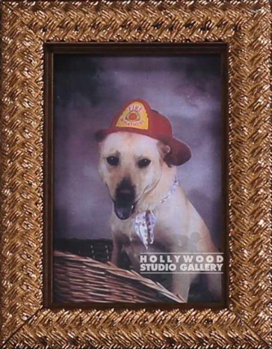 5x4 TABLETOP DOG FIRE HAT GOLD FRM