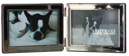 15X6 DESKTOP DOG PHOTO,SLV FRM