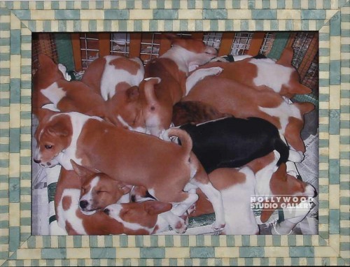 7X9 TABLETOP SLEEPING PUPPIES