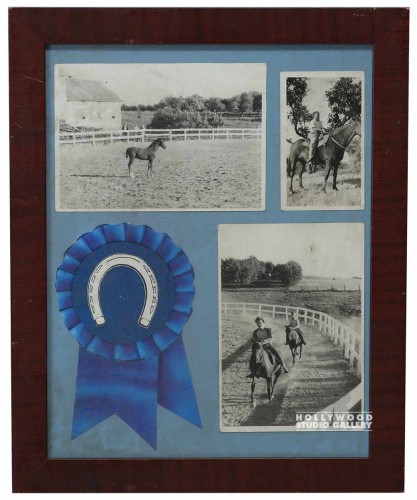 16x13 Blue Ribbon Horse