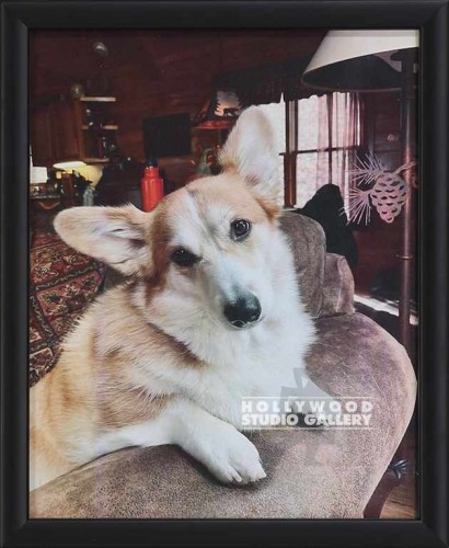 11X9 DOG PHOTO BLK FRM