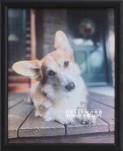 11X9 DOG PHOTO BLK FRM