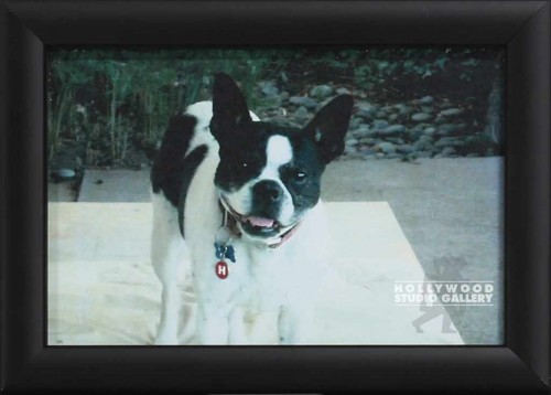 5x7 TABLETOP B-W DOGGIE