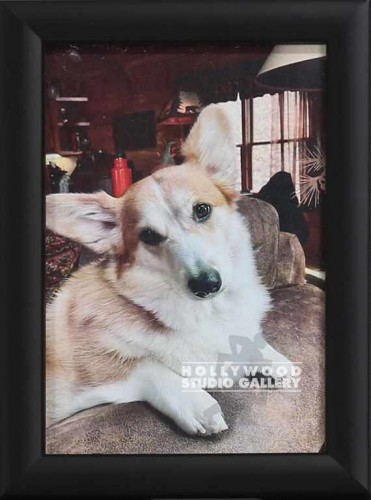 5x7 TABLETOP CORGI DOG