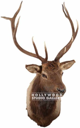 28x19x39 ELK-MOUNT