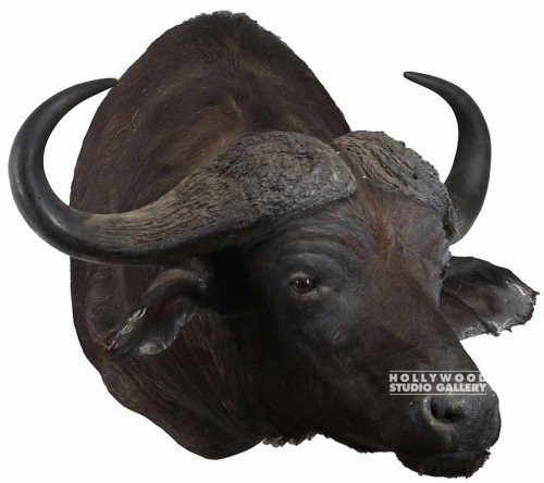 23x43 WATER BUFFALO