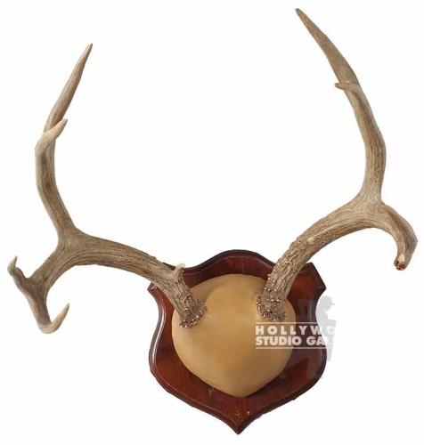 23x18x15 ANTLERS ON WOOD PLAQUE