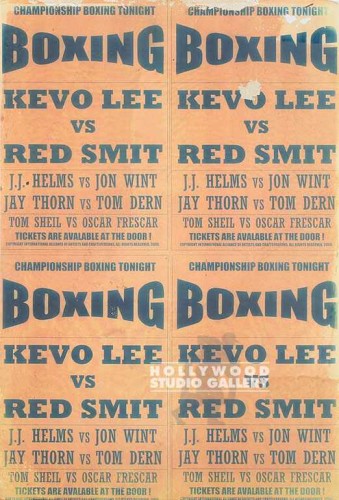 31X21 BOXING POSTER