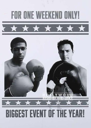 24x17 BOXING POSTER