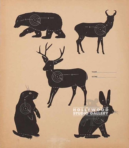 12X11 SMALL ANIMAL TARGET