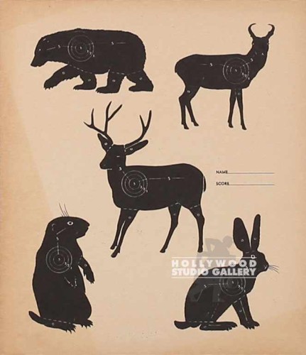 12X11 SMALL ANAMAL TARGET POSTER