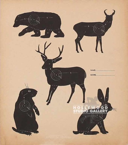 12X11 SMALL ANIMAL TARGET POSTER