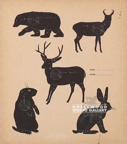 12X11 SMALL ANIMAL TARGET POSTER