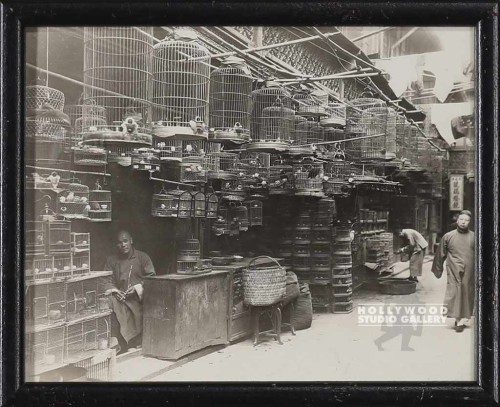 11X9 ASIAN BIRD MARKET BLK FRM