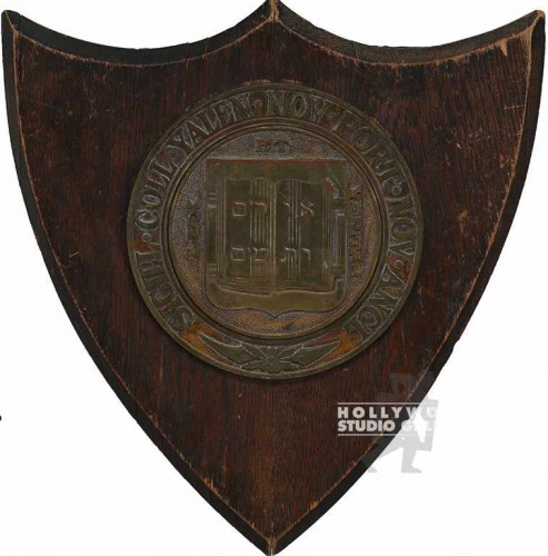 17x16 Brass Wood Plaque