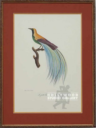 24x18 Bird Etching/Fancy
