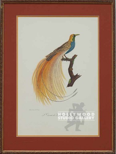 24x18 Bird Etching/Fancy