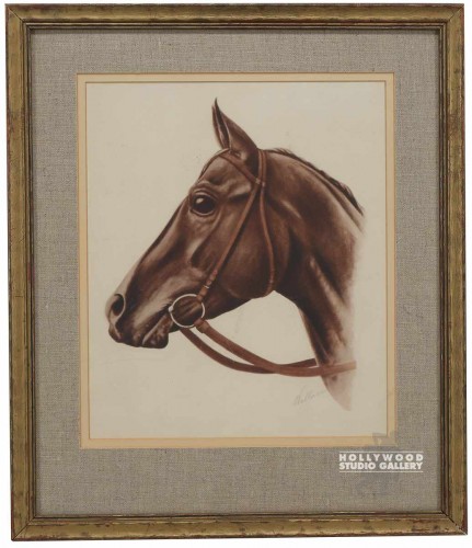 21x18 Horse Head Profile/Drawing