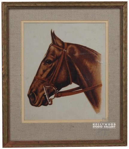 21x18 Horse Head Profile/Drawing