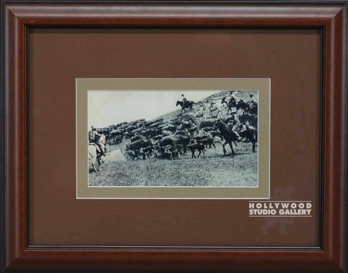12x15 B/W Cowboys/Cattle