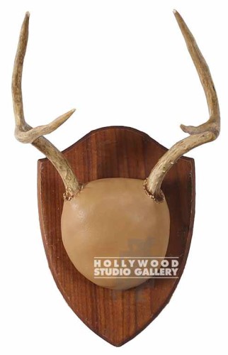 11x8 ANTLERS