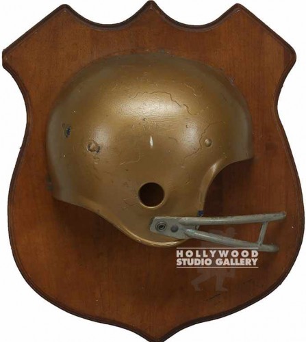 17x15x4" MOUNTED GOLD HELMET