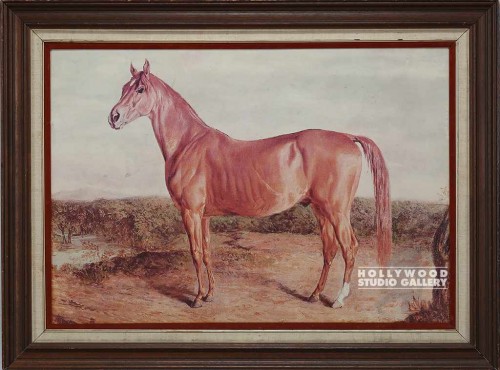 37x49 FRAMED LARGE HORSE PORTRAIT