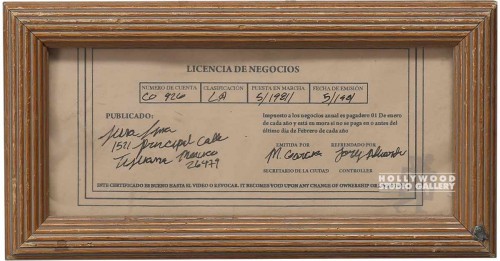 5x9 Framed Business License