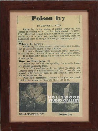 8x6 Poison Ivy/Framed Article