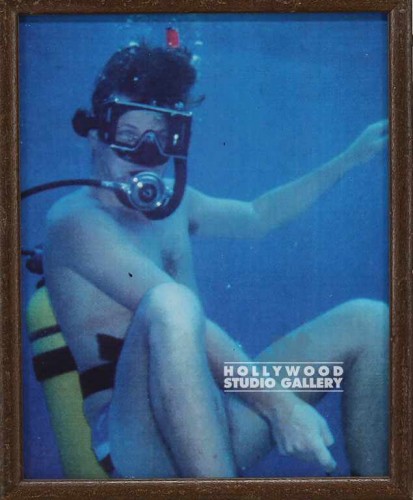 11x9 Diving Photo