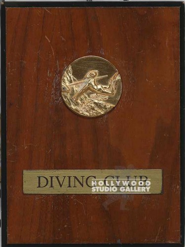 8x6 WOODEN/DIVING PLAGUE