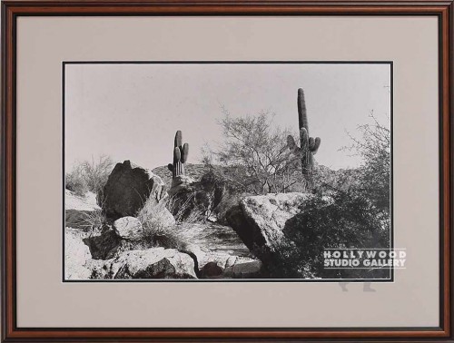 24x20 B/W Fwler Desert Mt/Pht/  CIA