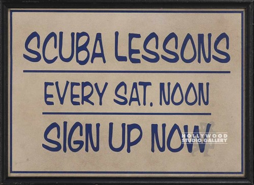 11x15``SCUBA LESSONS